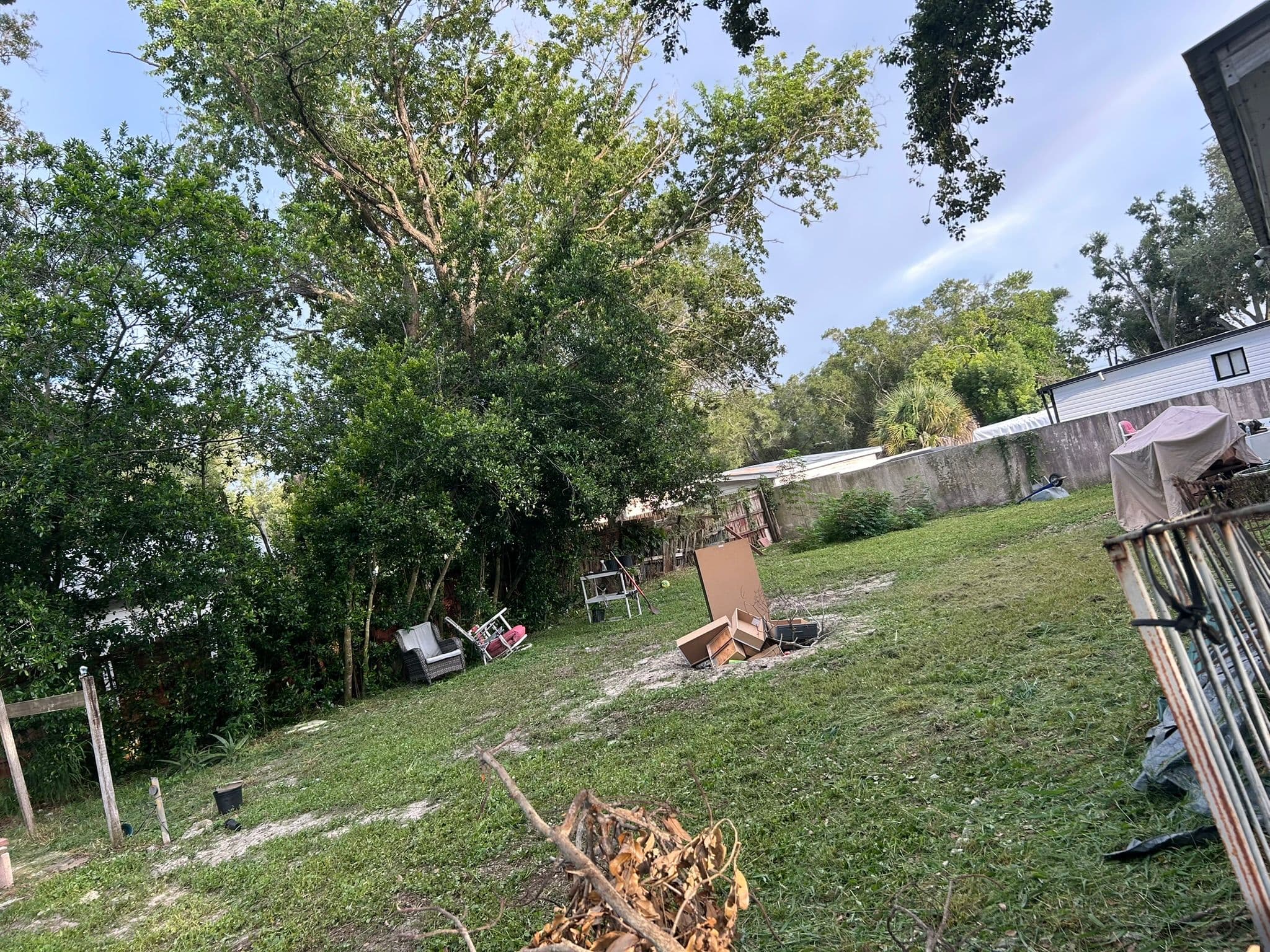 After — Backyard Transformation