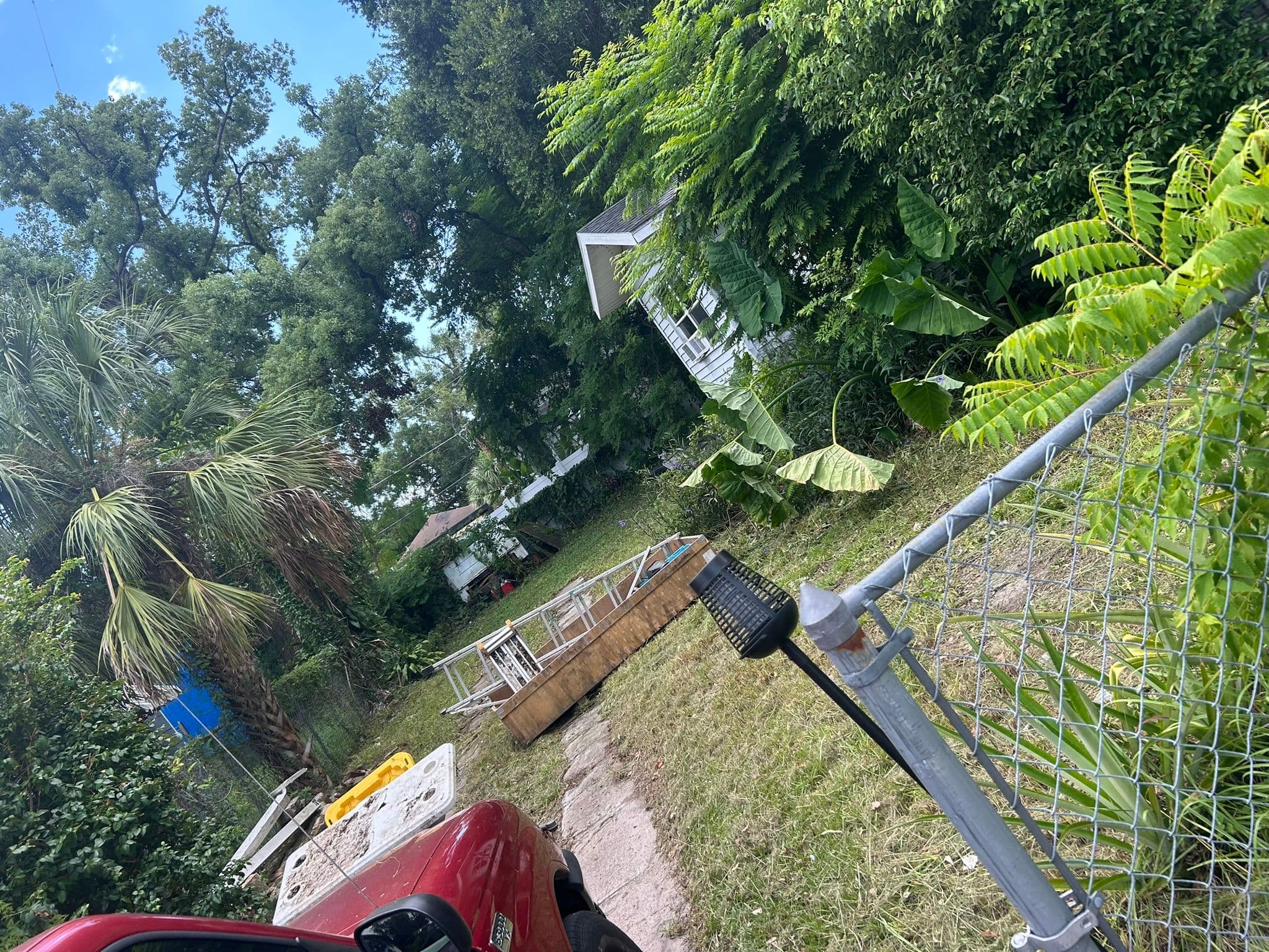 After — Dense Growth Cleared