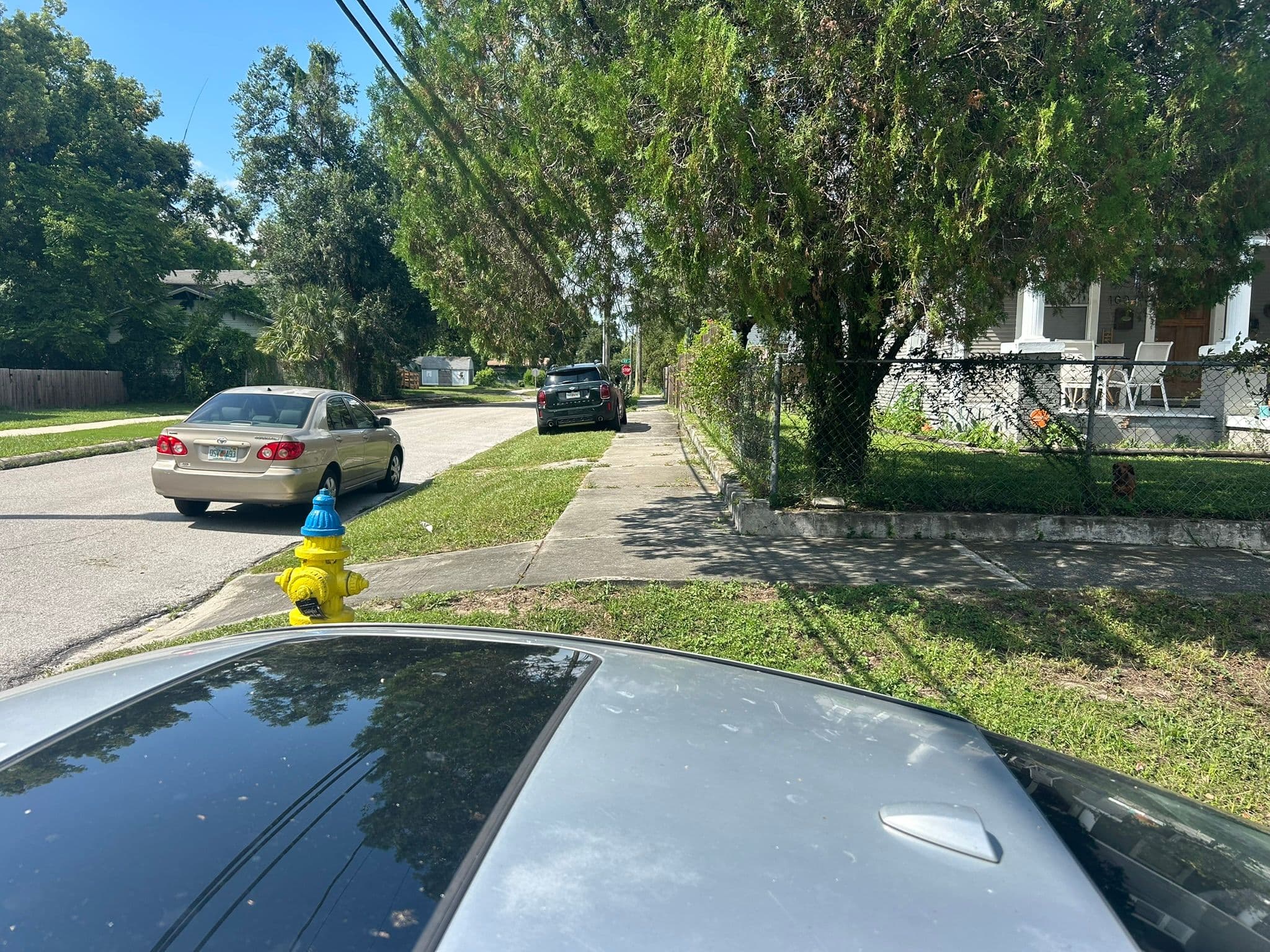 Curb appeal after cleanup