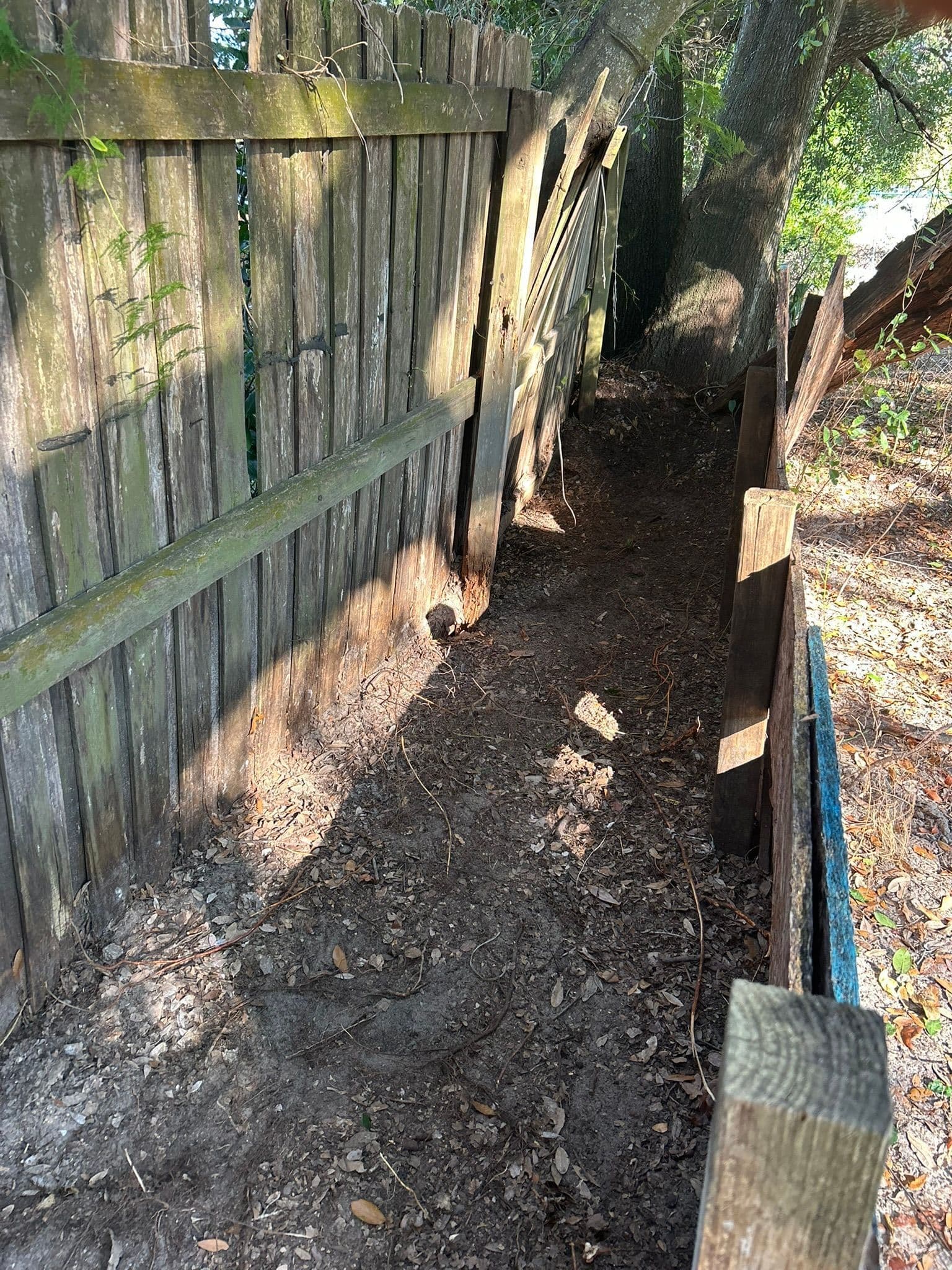 After — Fence Line Cleared