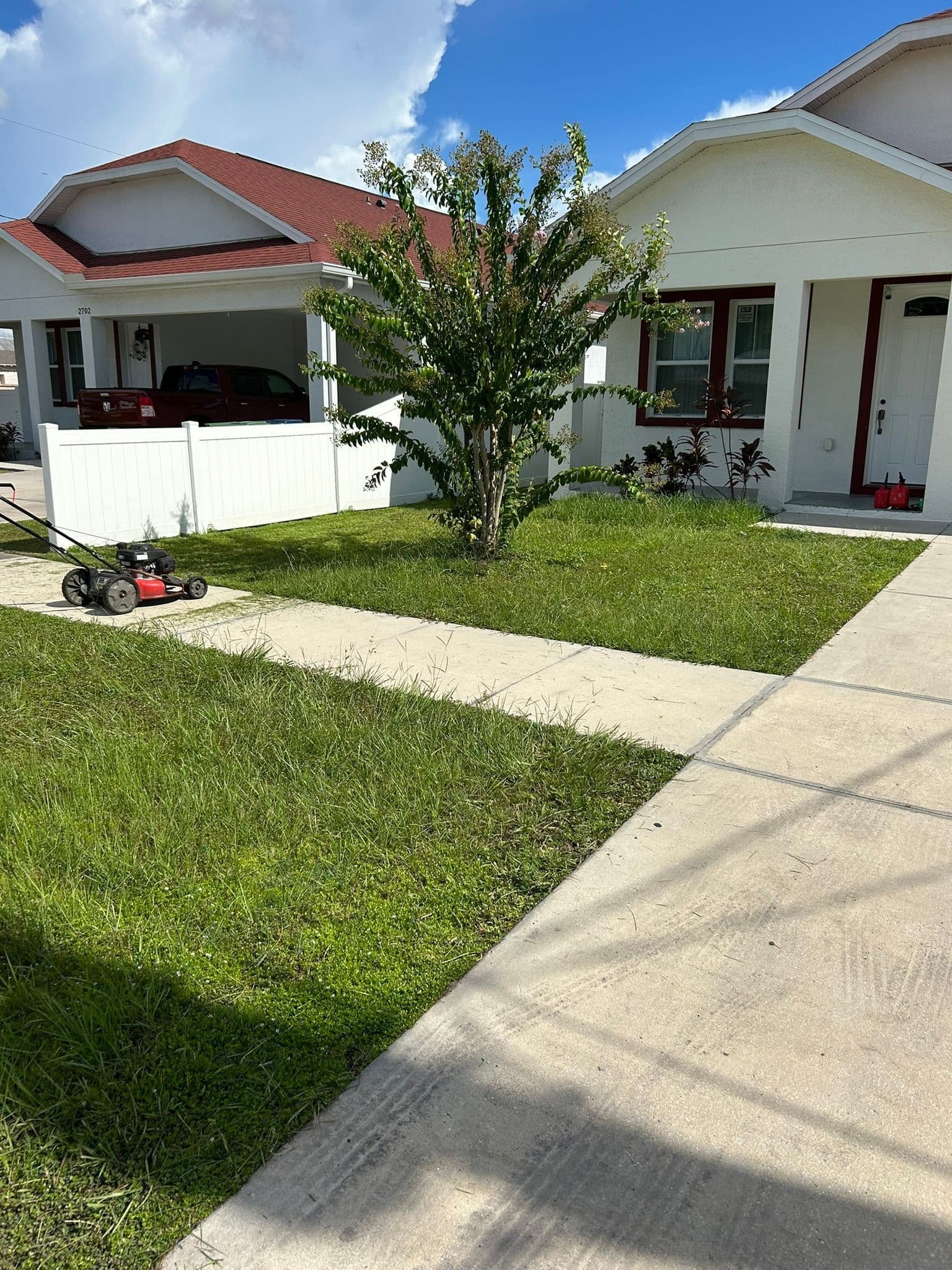 Before — Full Lawn Restoration