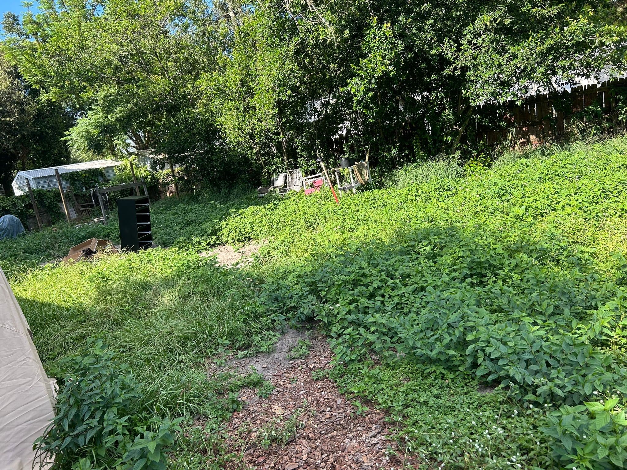 Before — Backyard Transformation