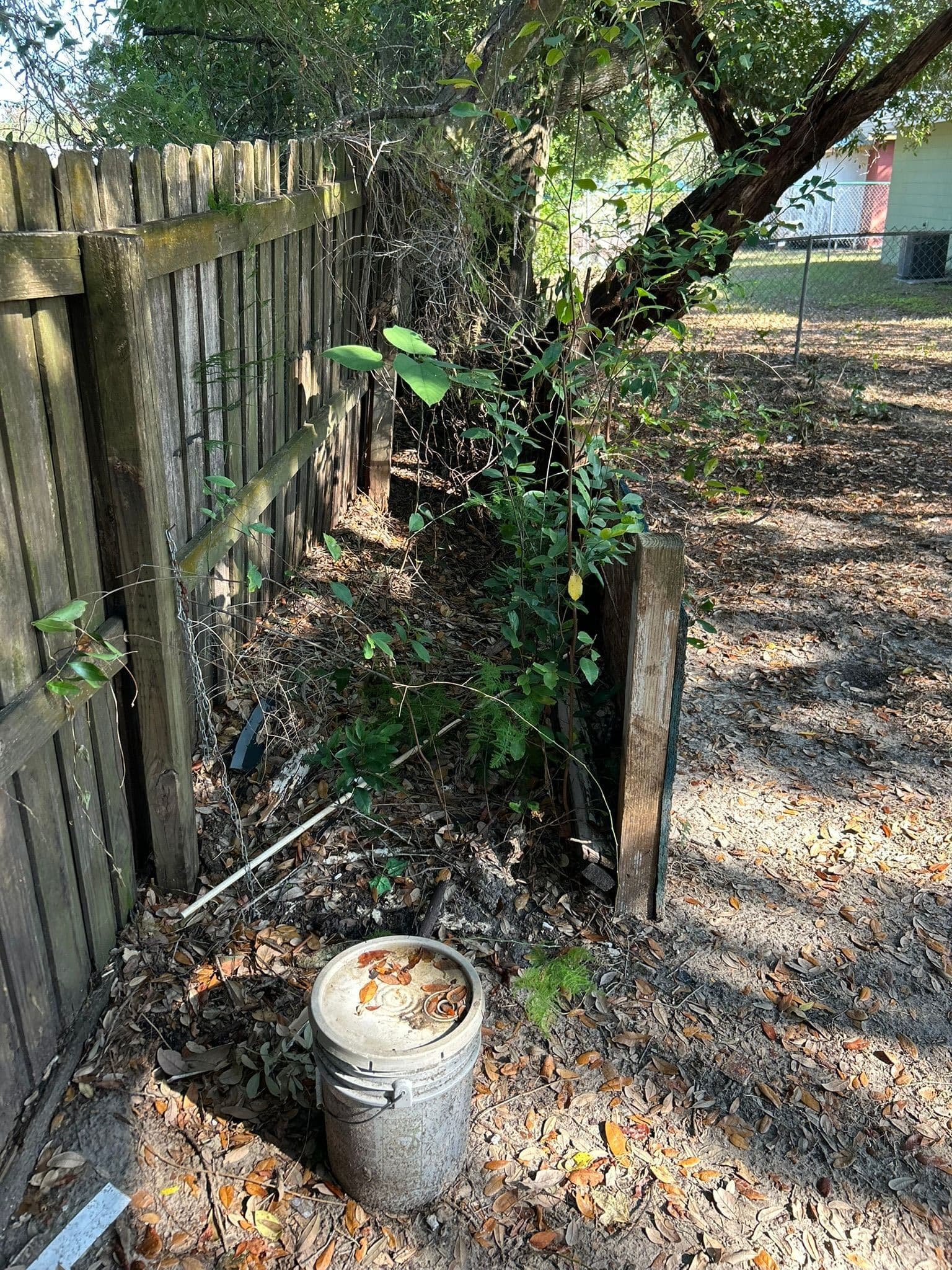 Before — Fence Line Cleared